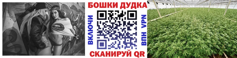 МАРИХУАНА MAZAR  KRAKEN как зайти  Чкаловск 